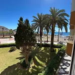 Palmeras