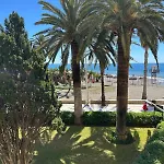 Palmeras * Algarrobo Costa