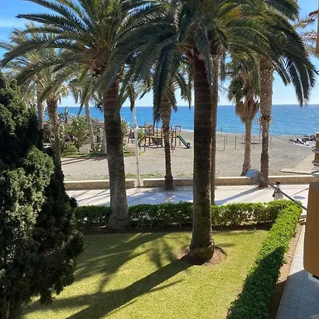 Palmeras * Algarrobo Costa