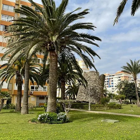 Palmeras * Algarrobo Costa