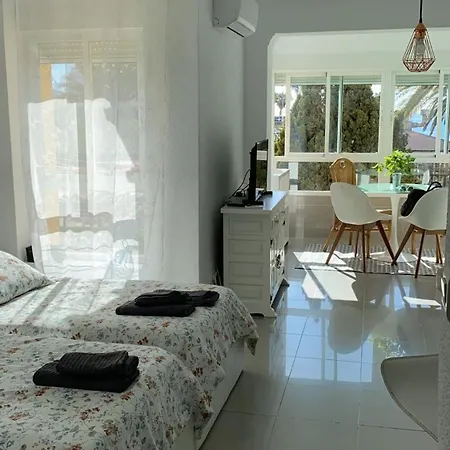 Palmeras